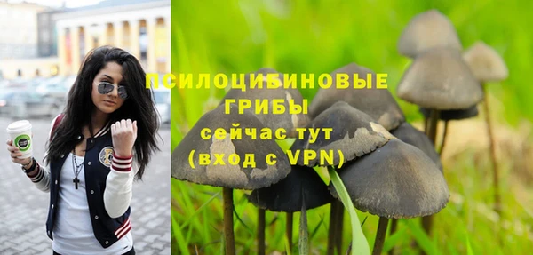 синтетический гашиш Алексин