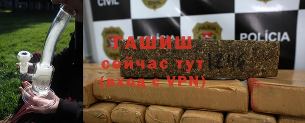 индика Алзамай