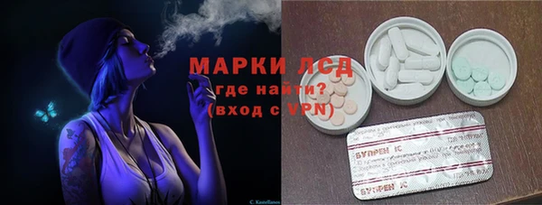 индика Алзамай
