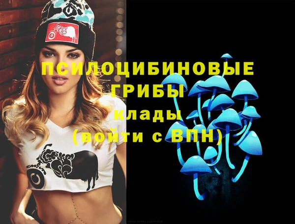 ПСИЛОЦИБИНОВЫЕ ГРИБЫ Алексеевка