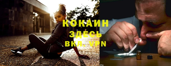 дживик Абаза