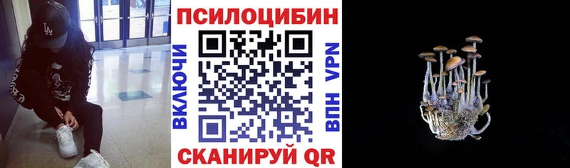 hydra зеркало  наркота  Челябинск  Псилоцибиновые грибы Cubensis 
